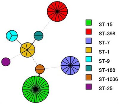 Whole-Genome Epidemiology and Characterization of Methicillin-Susceptible Staphylococcus aureus ST398 From Retail Pork and Bulk Tank Milk in Shandong, China